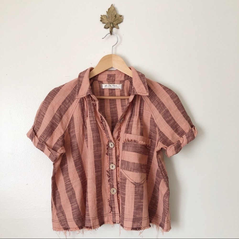 We The Free Pink and Brown Striped Crop Top